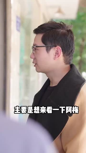 再见阿郎(23集) 再见阿郎(23集)短剧合集通宵追更版