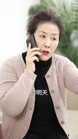 全城热搜四重奏(79集) 全城热搜四重奏(79集)短剧宝藏全集限免看