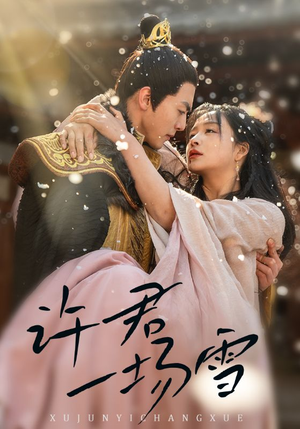 许君一场雪(43集) 许君一场雪(43集)短剧全系列免费畅享