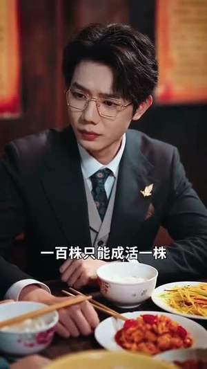 妈咪本事大爹地别害怕(81集) 妈咪本事大爹地别害怕(81集)短剧大结局限免特辑