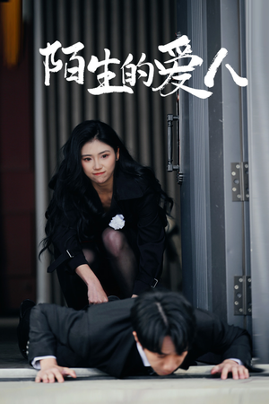 陌生的爱人（60集）短剧大结局限免特辑