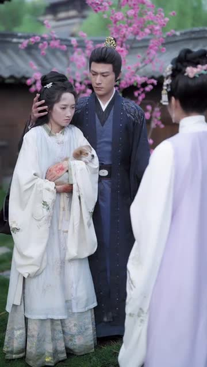 花谢花飞花满天(28集) 花谢花飞花满天(28集)短剧完结全集限免刷