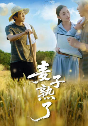 麦子熟了(52集) 麦子熟了(52集)短剧精选全集无广告