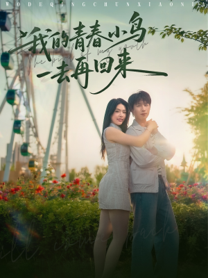 我的青春小鸟一去再回来（95集）短剧全剧终限免畅刷