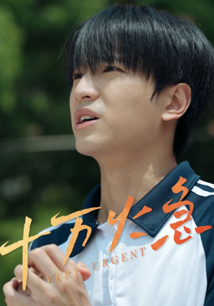 十万火急（30集）短剧全集投屏大屏看