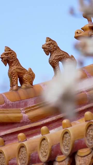 都重生了，谁抢皇位啊（106集）短剧宝藏全集限免看