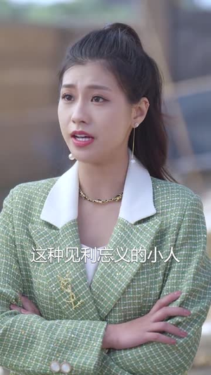 上岸先斩糟糠夫(70集) 上岸先斩糟糠夫(70集)短剧全集高清无码版