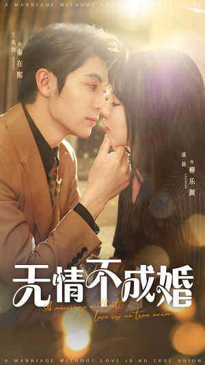 无情不成婚(70集) 无情不成婚(70集)短剧热播全集免费追