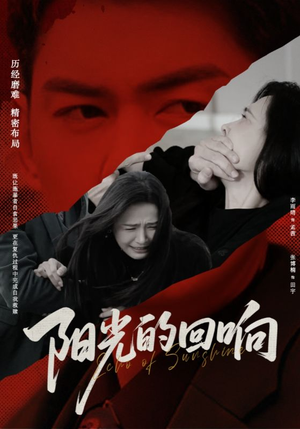 阳光的回响（50集）短剧大结局合集放送