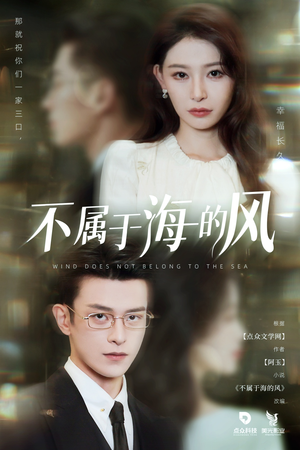 不属于海的风（40集）短剧全集秒播无卡顿