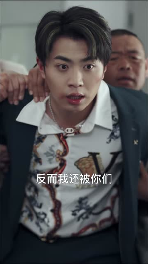 以医之名（30集）短剧爆款全集在线播