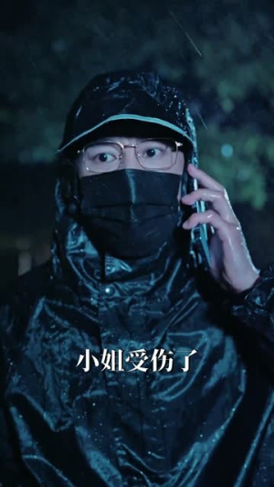 妻子的网(50集) 妻子的网(50集)短剧合集4K修复版