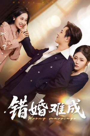 错婚难成(45集) 错婚难成(45集)短剧合集导演剪辑版