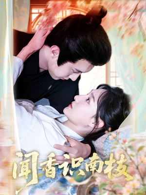 闻香识南枝（60集）短剧合集导演剪辑版
