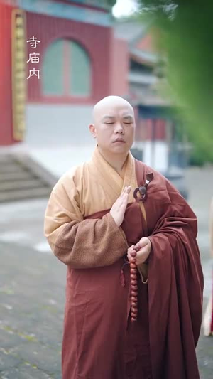 千年此去不相逢（65集）短剧合集蓝光画质