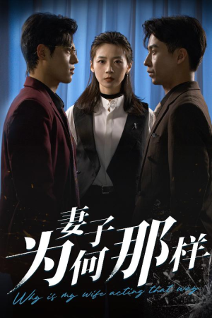 妻子为何那样(60集) 妻子为何那样(60集)短剧限免全集任你点