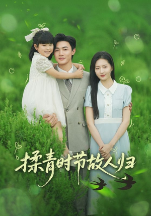 揉青时节故人归(60集) 揉青时节故人归(60集)短剧完结全集限免刷