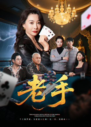 老手(36集) 老手(36集)短剧高分全集在线刷