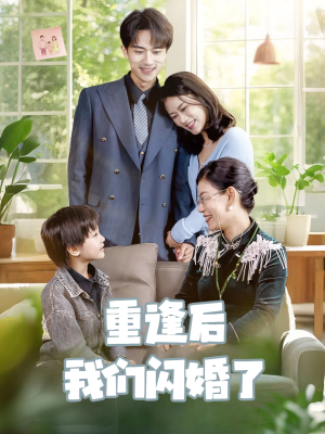 重逢后我们闪婚了(35集) 重逢后我们闪婚了(35集)短剧全系列免费畅享