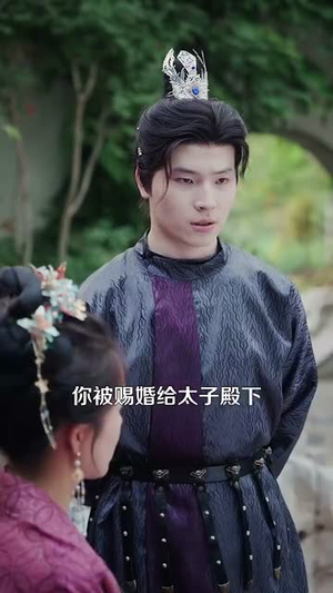 太子情变弃妃临帝(104集) 太子情变弃妃临帝(104集)短剧全集特惠限时看