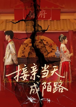接亲当天成陌路(50集) 接亲当天成陌路(50集)短剧收官全集限免看
