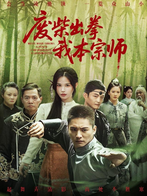 废柴出拳我本宗师(61集) 废柴出拳我本宗师(61集)短剧终极大结局合集