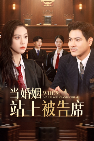 当婚姻站上被告席(30集) 当婚姻站上被告席(30集)短剧完结全集限免刷