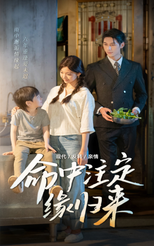 命中注定缘归来(63集) 命中注定缘归来(63集)短剧全集连看不停歇