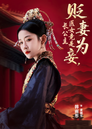 贬妻为妾医女竟是长公主（80集）短剧热播全集免费追