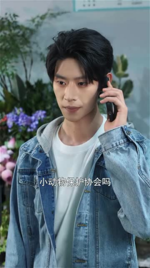 是萌妹也是丧彪（70集）短剧完结全集限免刷