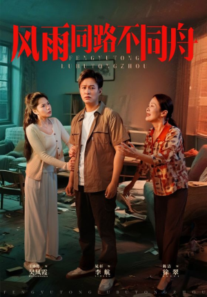 风雨同居不同舟（32集）短剧全集VR沉浸版