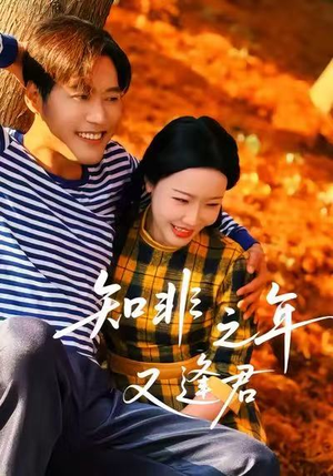 知非之年又逢君(62集) 知非之年又逢君(62集)短剧全集无删完整版