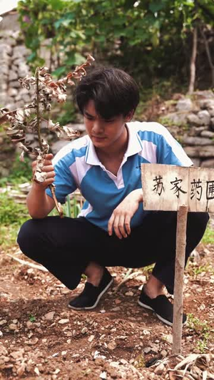 诡灯之红嫁衣(25集) 诡灯之红嫁衣(25集)短剧完结篇全集连播