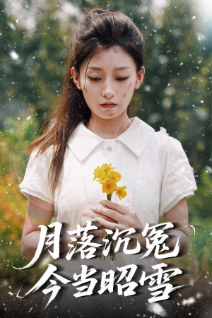 月落沉冤今当昭雪(60集) 月落沉冤今当昭雪(60集)短剧终极大结局合集