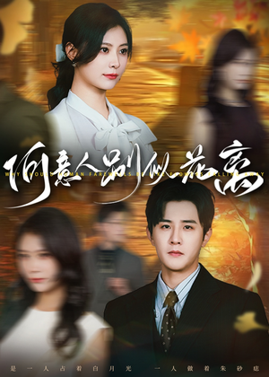 何意人别似花离(61集) 何意人别似花离(61集)短剧合集导演剪辑版