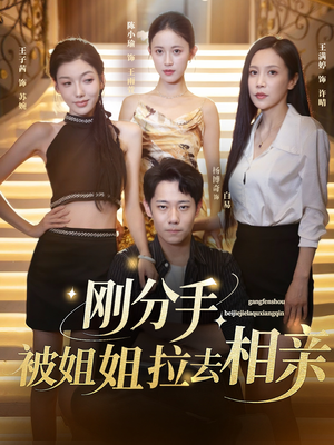 刚分手被姐姐拉去相亲(73集) 刚分手被姐姐拉去相亲(73集)短剧全集秒播无卡顿