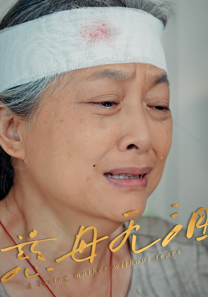 慈母无泪（30集）短剧全系列永久免费