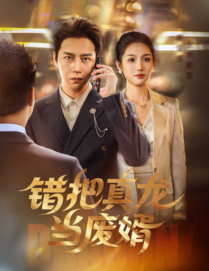 错把真龙当废婿(60集) 错把真龙当废婿(60集)短剧最终章免费合集