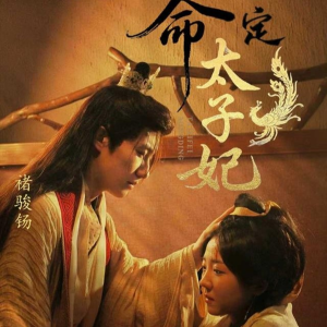 命定太子妃(63集) 命定太子妃(63集)短剧限免全集任你点