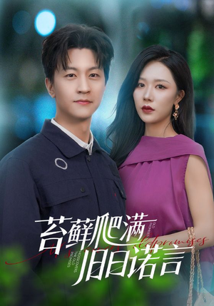 情途难负（83集）短剧完结篇全集连播