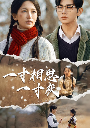 一寸相思一寸灰(43集) 一寸相思一寸灰(43集)短剧全集无删完整版