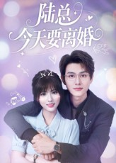 陆总今天要离婚（81集）短剧高分全集在线刷
