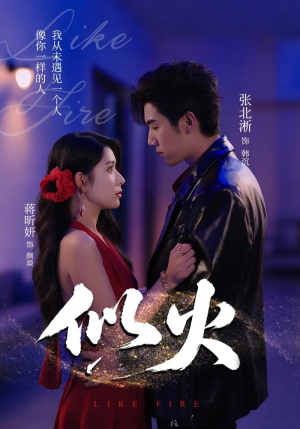 似火（80集）短剧全集解锁零收费