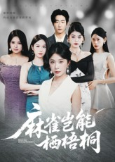 麻雀岂能栖梧桐(31集) 麻雀岂能栖梧桐(31集)短剧全剧终合集放送