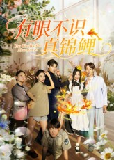 有眼不识真锦鲤（35集）短剧经典全集任你选