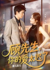 顾先生你的爱太迟了（60集）短剧合集导演剪辑版