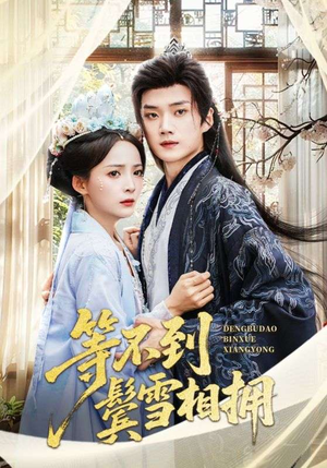 等不到鬓雪相拥(61集) 等不到鬓雪相拥(61集)短剧合集导演剪辑版