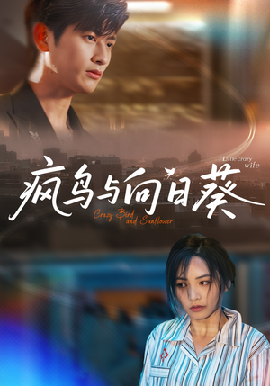 疯鸟与向日葵（40集）短剧全剧免费合集