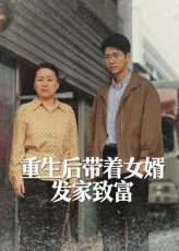 重生后带着女婿发家致富（41集）短剧大结局全集特惠