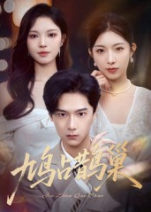 顶流夫人的致命陷阱（70集）短剧全系列免费畅享